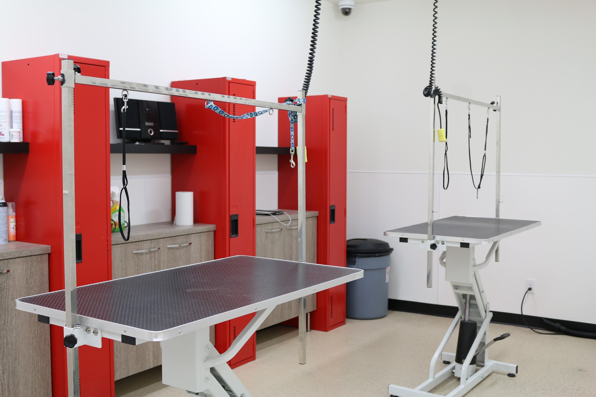 Animo Etc Saint-Hyacinthe