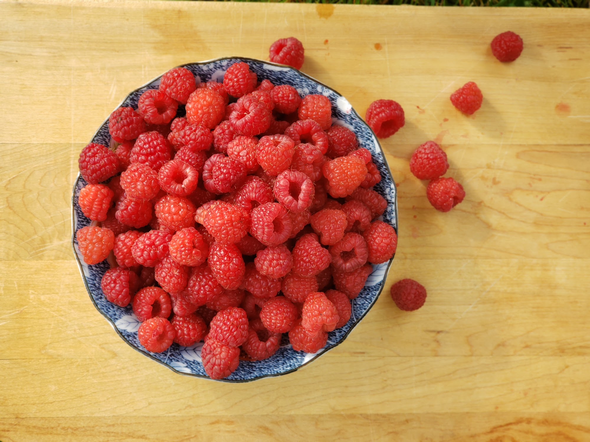 Le Jardin Fruitier Sherbrooke