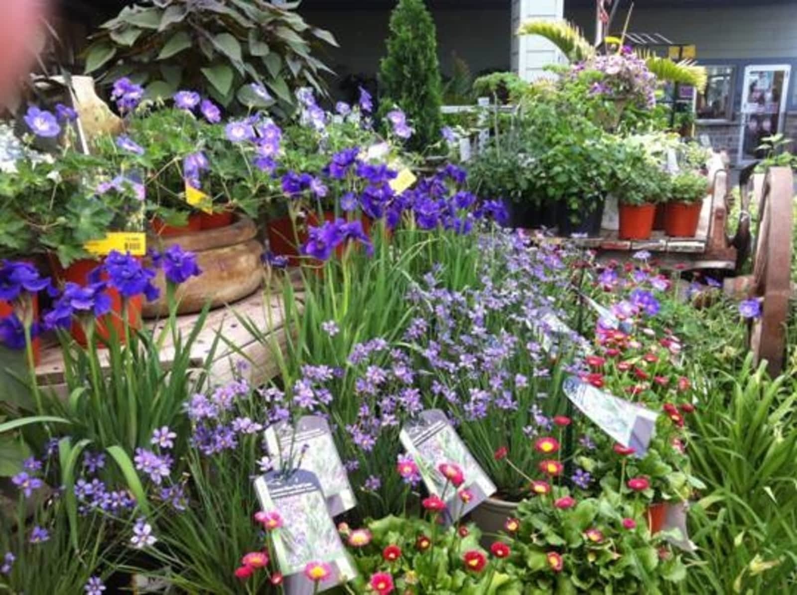 Photo credit: yellowpages.ca