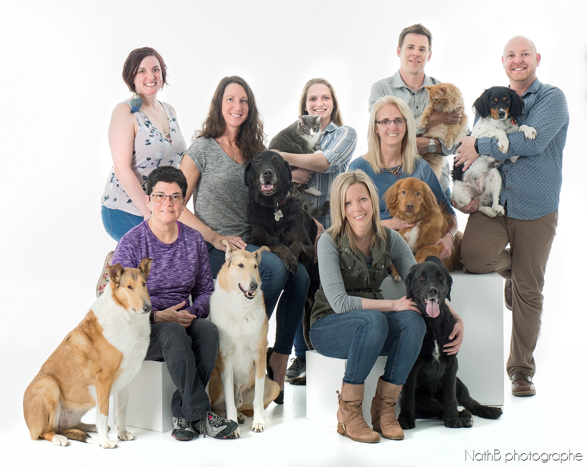 Clinique Vétérinaire Du Bas-Richelieu Sorel-Tracy