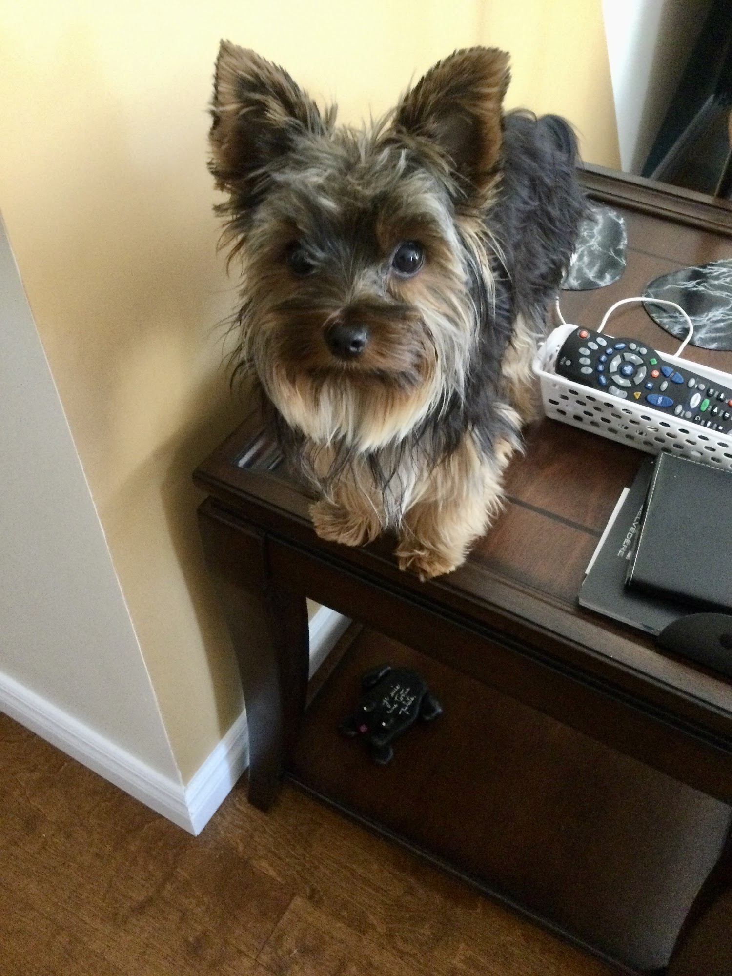 Mondou Trois-Rivieres