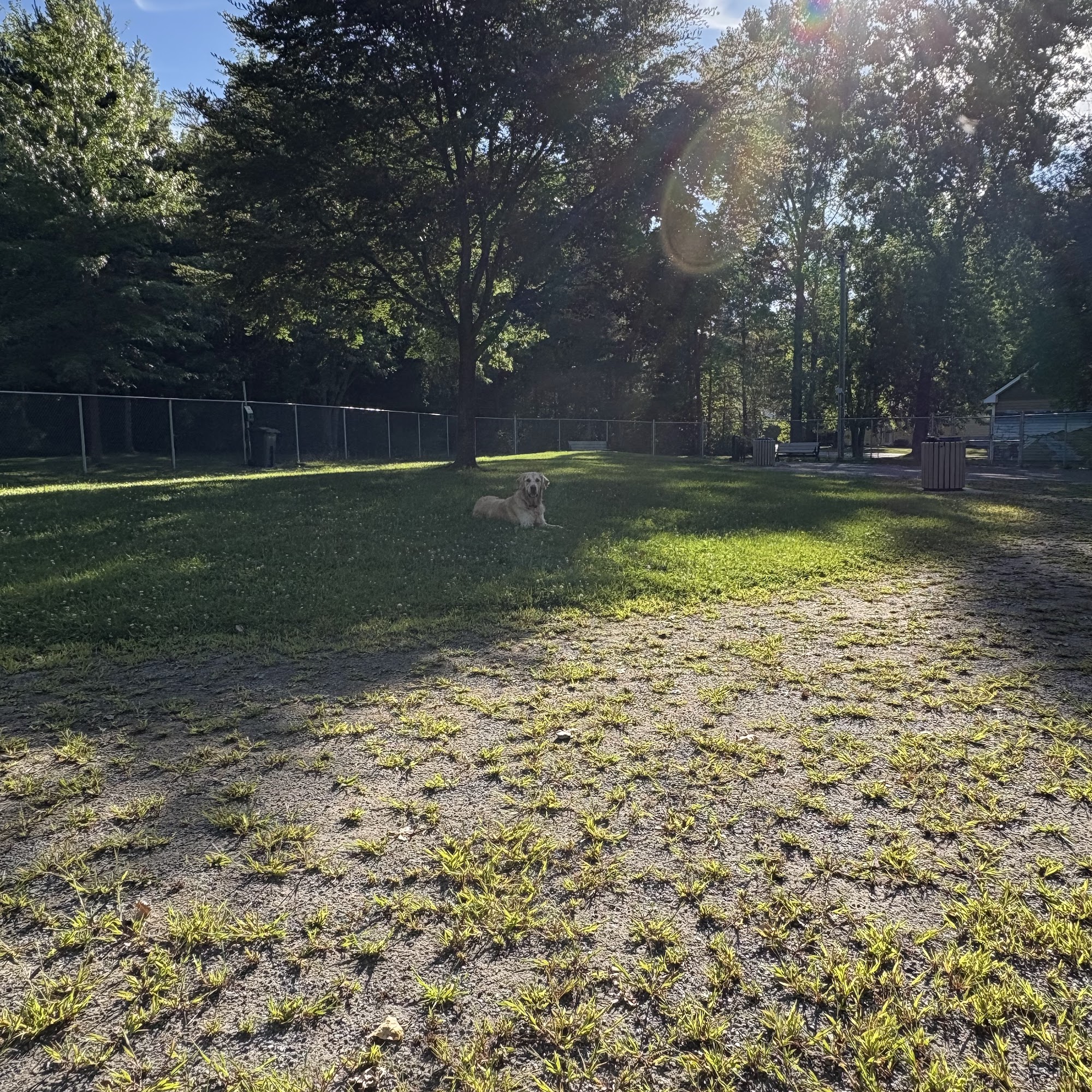 Parc canin Dave-Ross Victoriaville