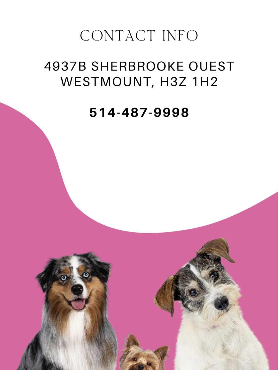 Pampered Pets of Westmount Westmount