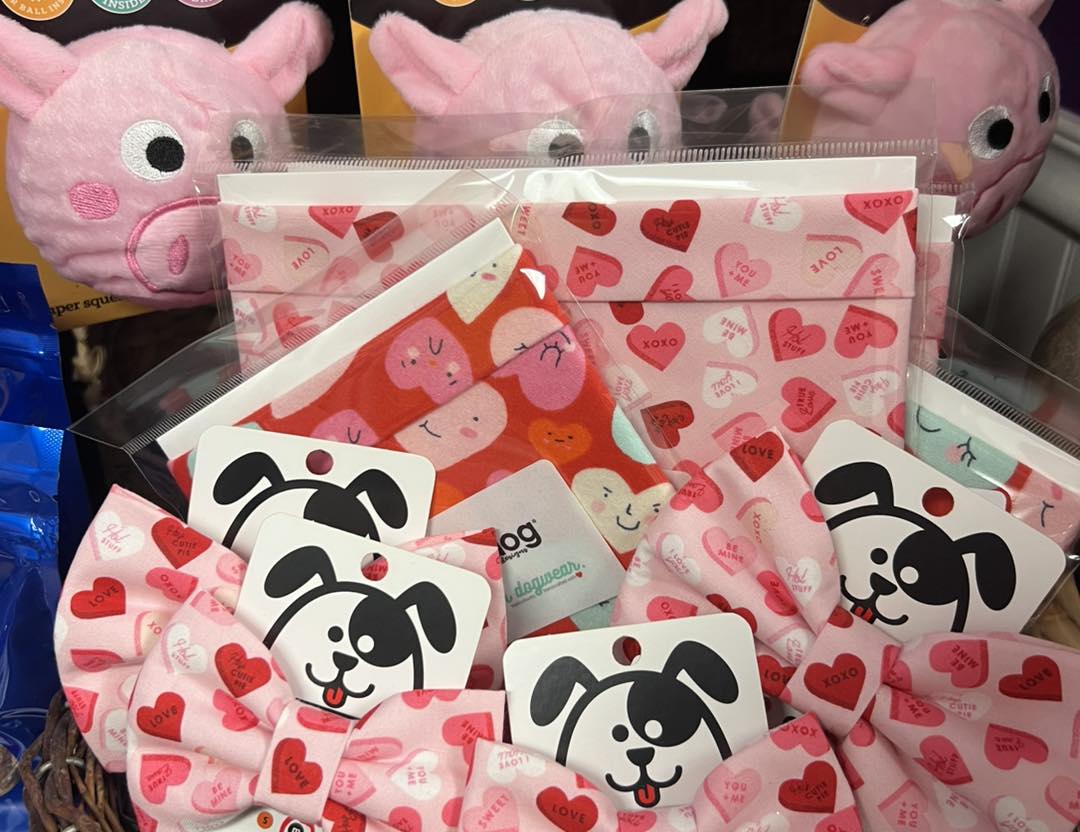 Paw Parazzi Dog Grooming LLC Chepachet