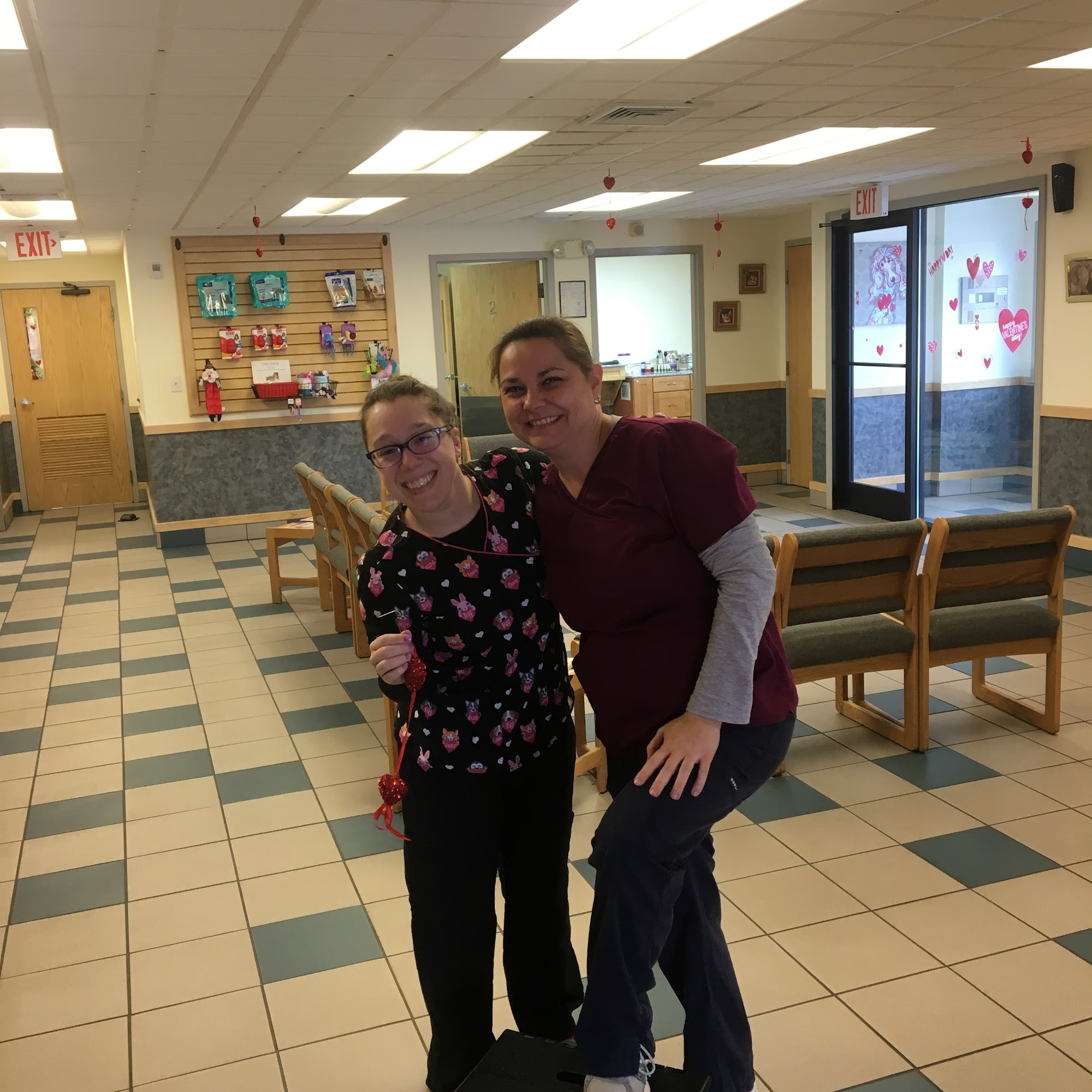 Tiogue Veterinary Clinic Coventry