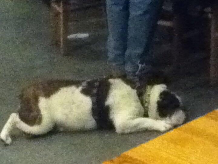 Photo credit: nextdoor