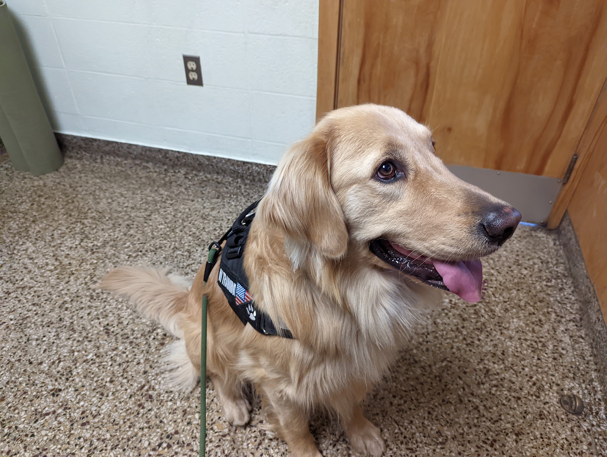 Cranston Animal Hospital Cranston