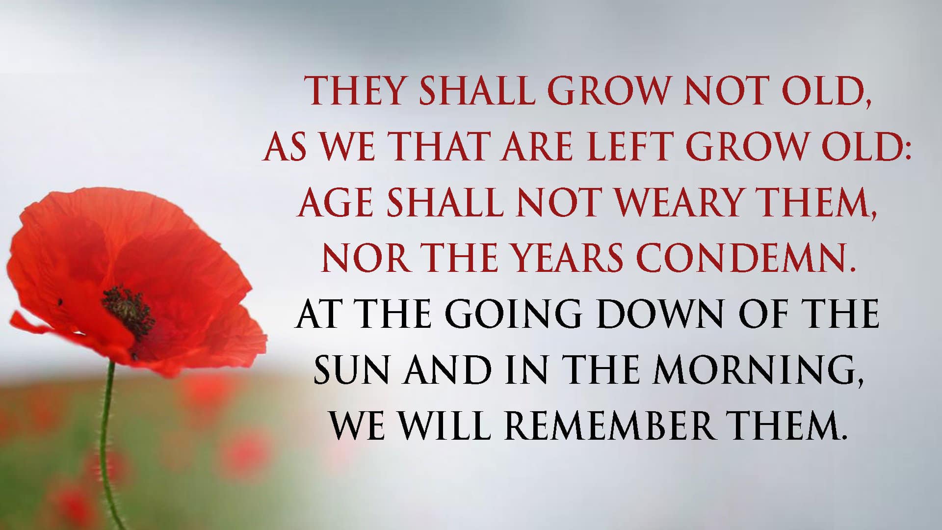 Butler Window Cleaning