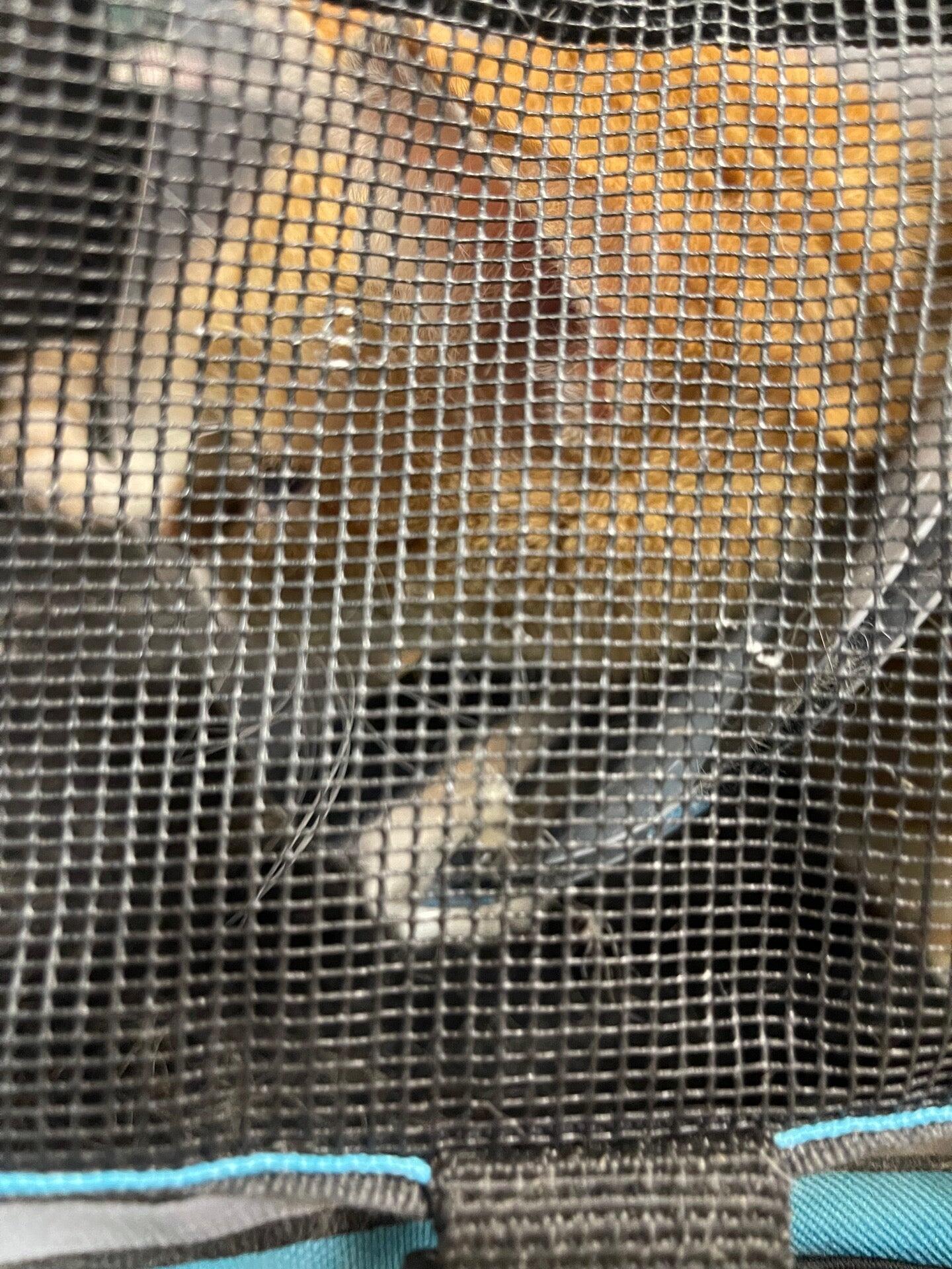 Abbott Valley Veterinary Center Cumberland