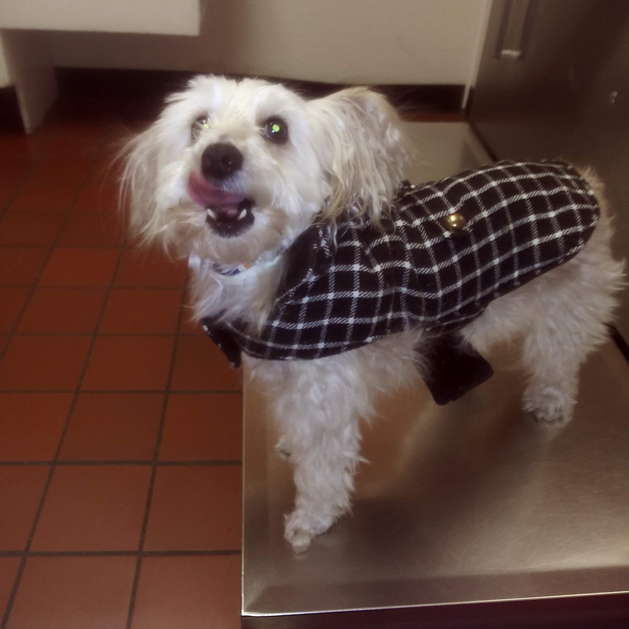 Diamond Hill Animal Clinic Cumberland