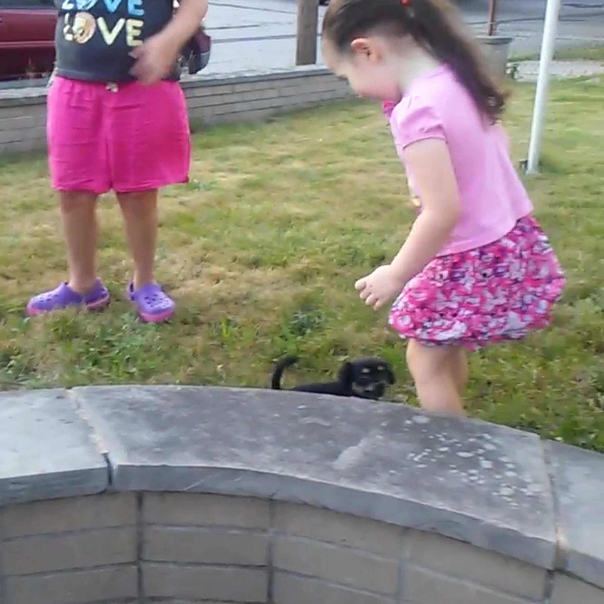 Ocean State Veterinary Specialists East Greenwich