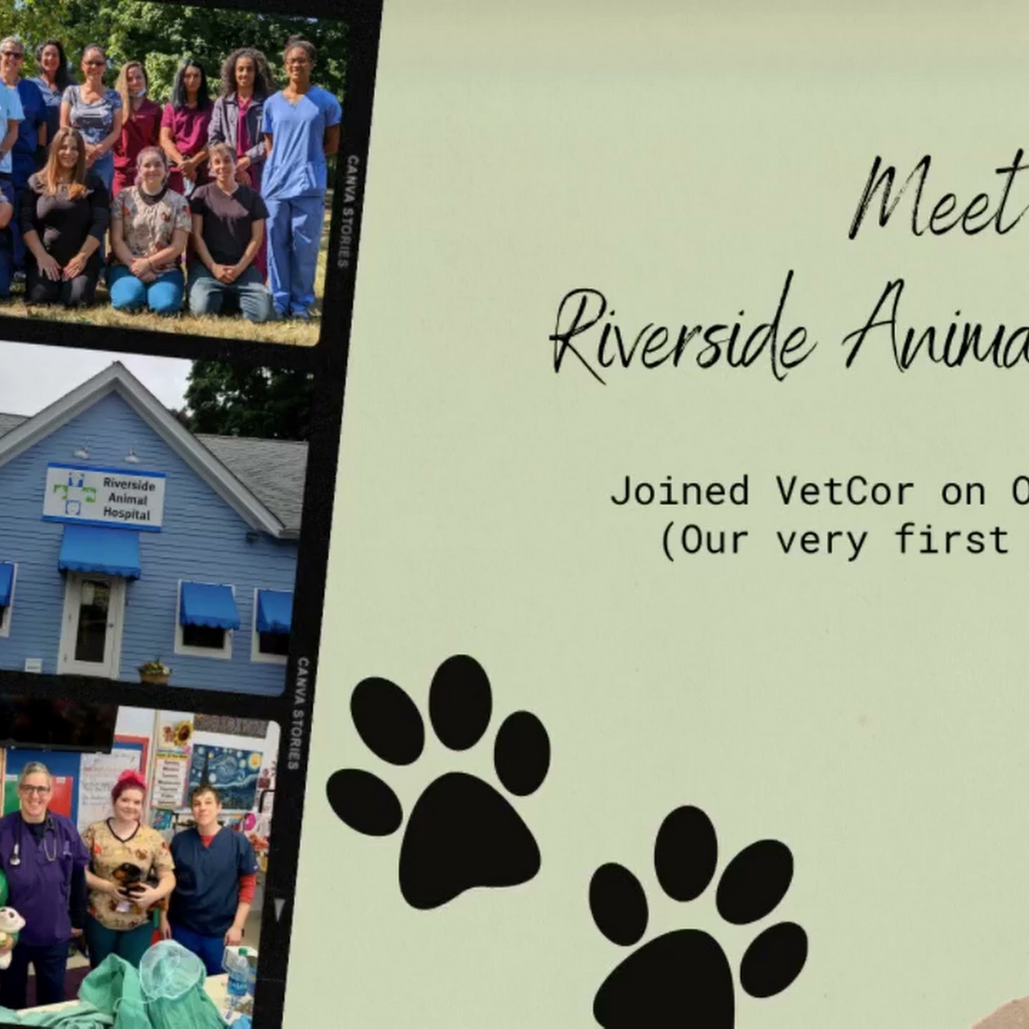 Riverside Animal Hospital East Providence