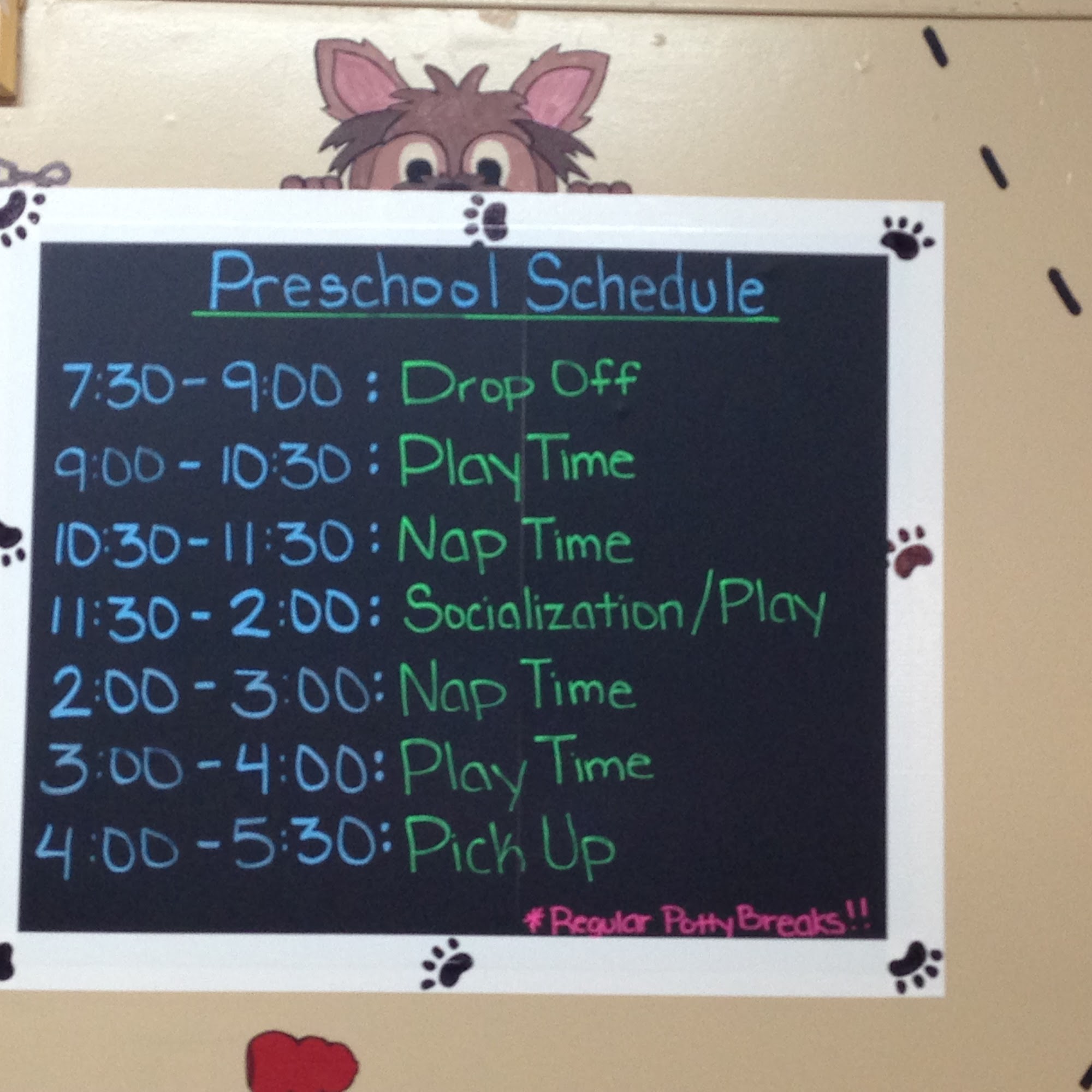 Pooch Pawsitive Dog Training East Providence