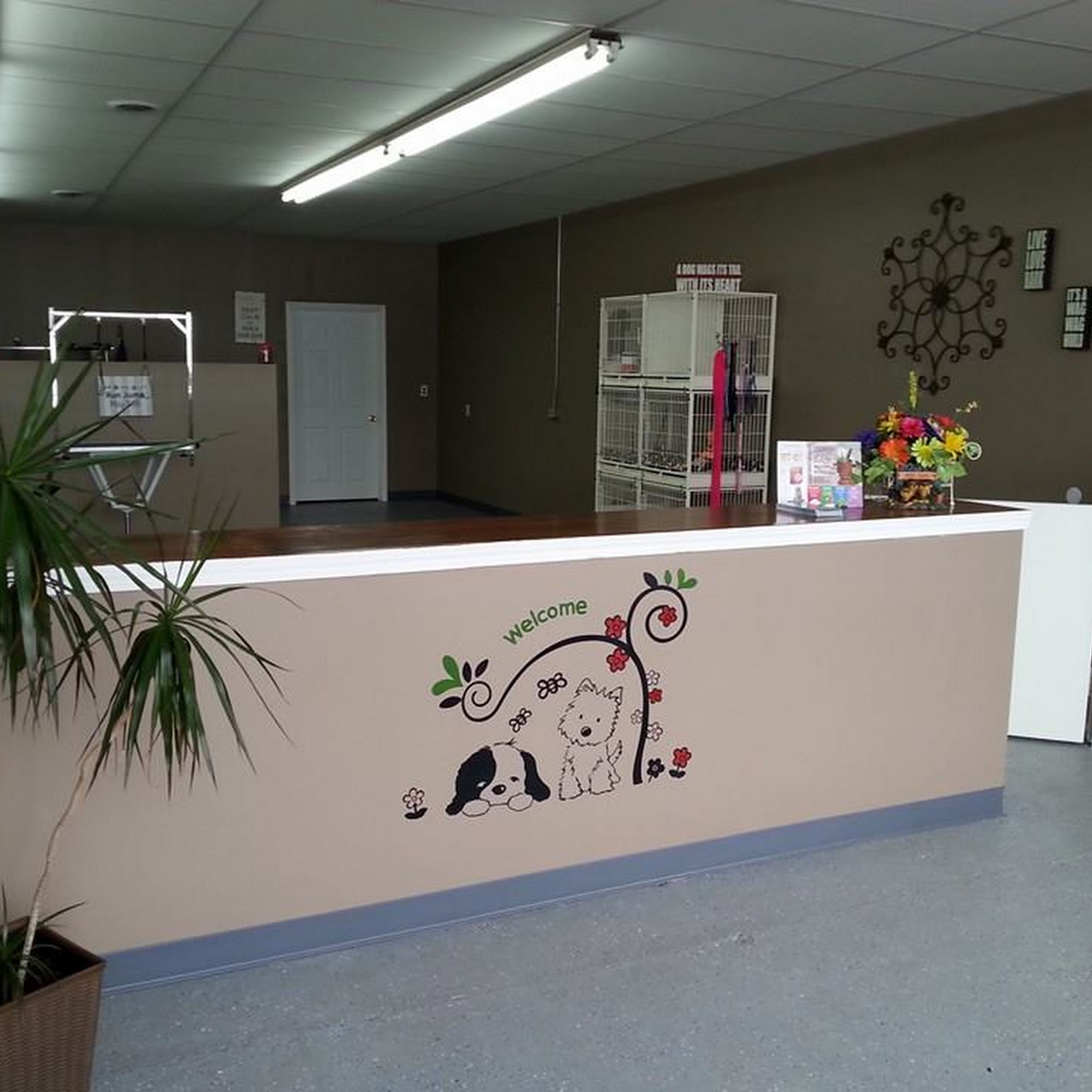 Dapper Dog,LLC East Providence