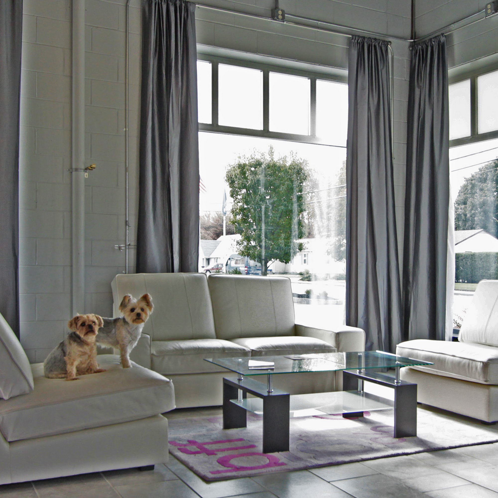 My BFF Resort Johnston