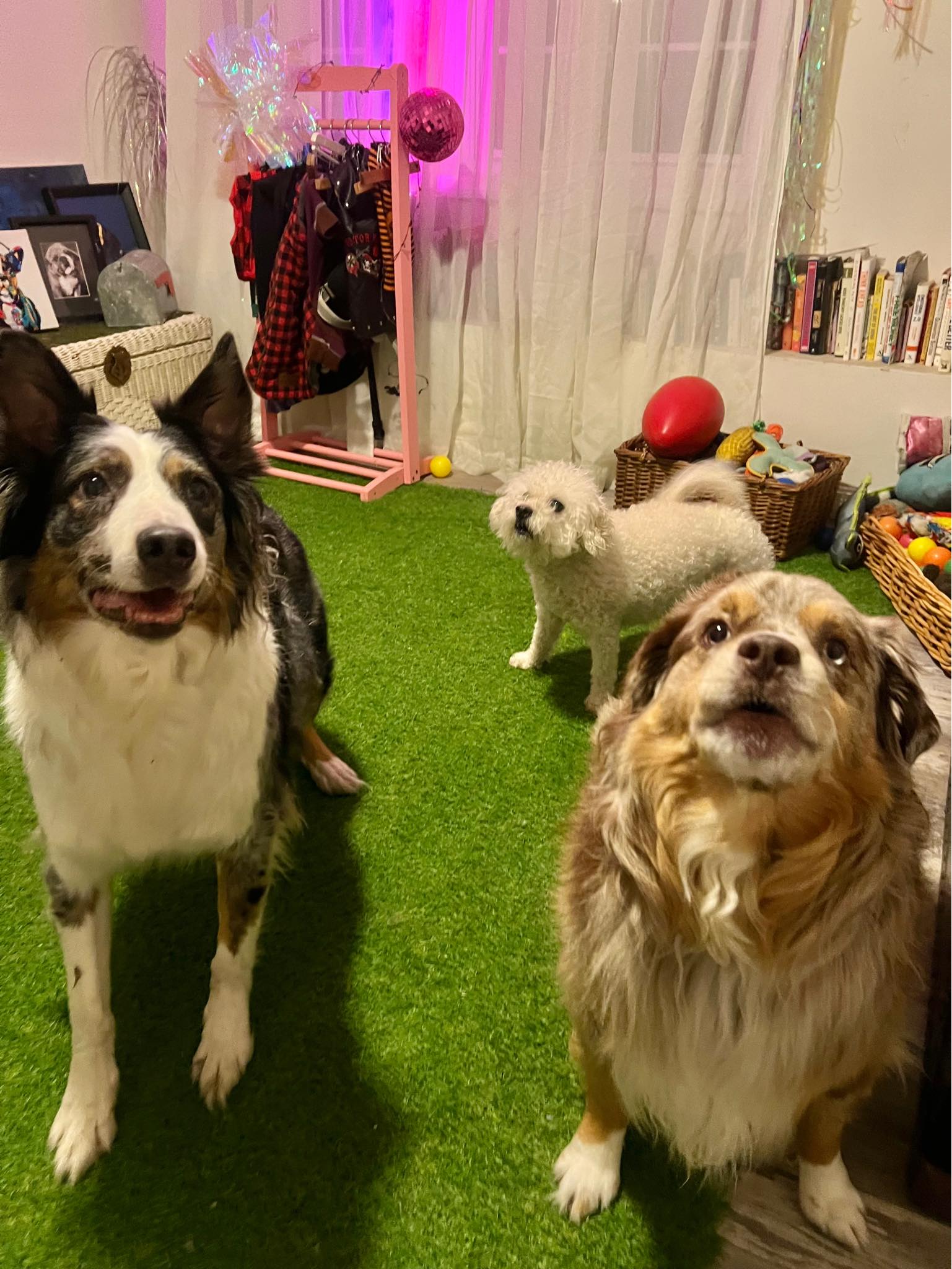 The Peaceful Pack Johnston