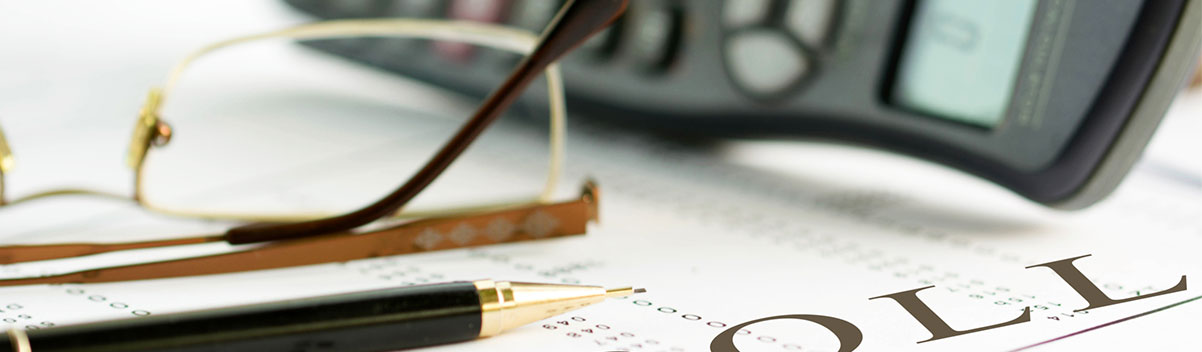 AMERICAN PAYROLL SERVICE LTD