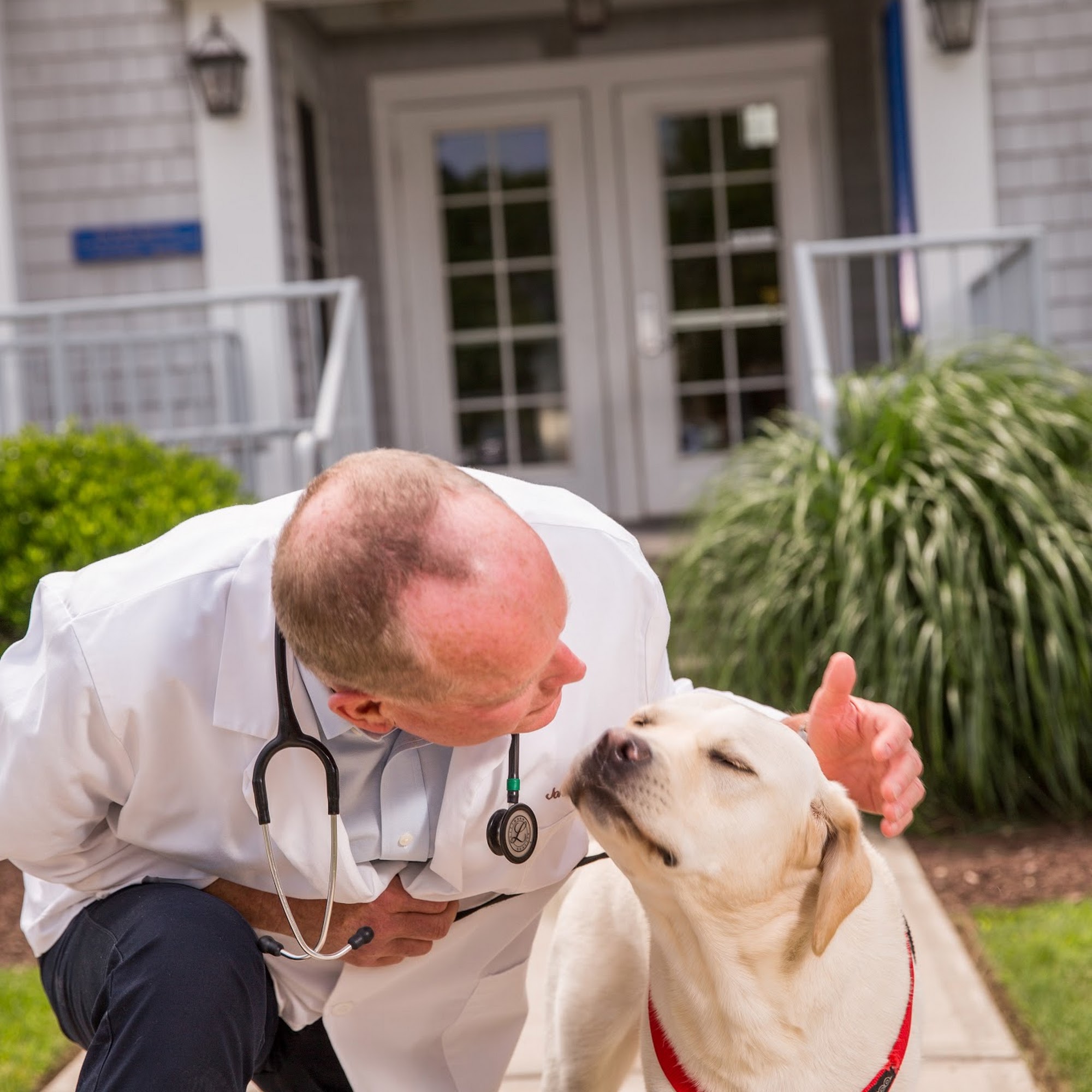 Newport Animal Hospital Middletown