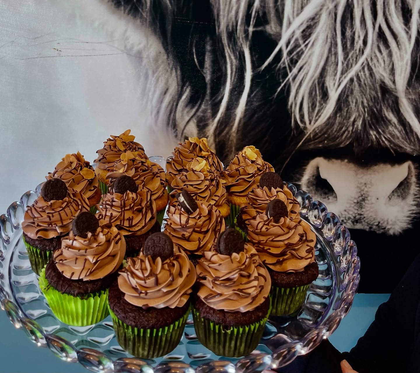 Sprout and Lentil Middletown