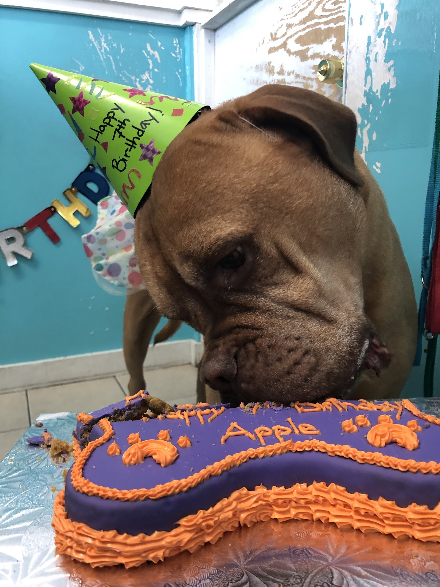 The Wiggle Room Middletown