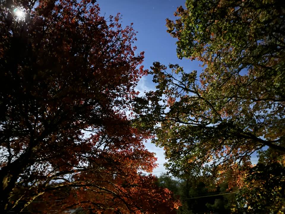 South County Walk-In & Primary Care, Inc.