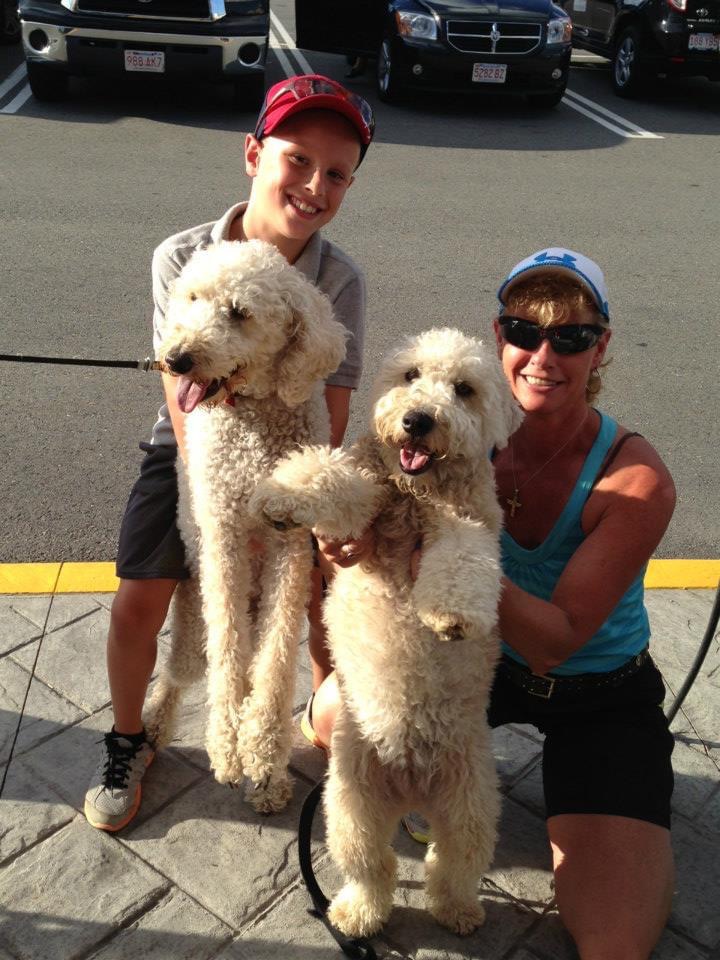 Wag A Tail Pawsitting Newport