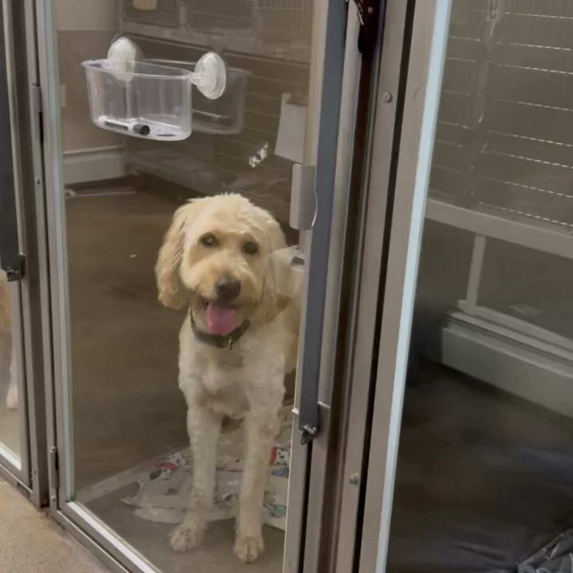 North Kingstown Animal Hospital North Kingstown