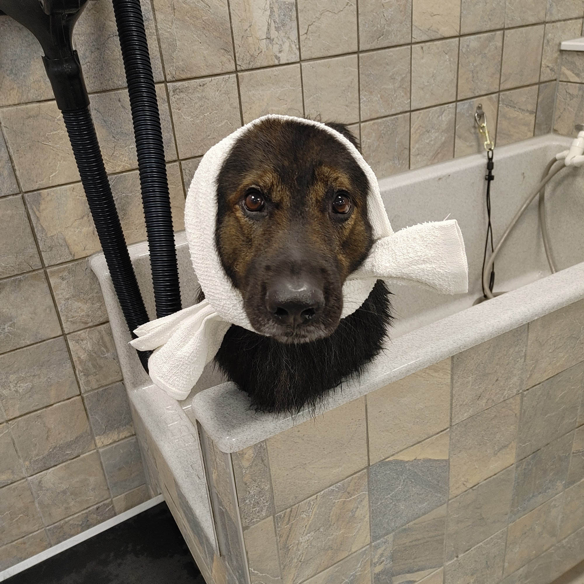 Rumford Pet Express North Kingstown