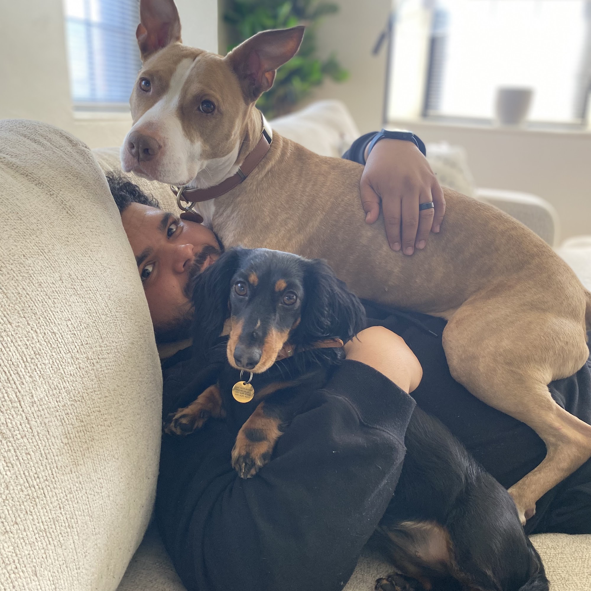 Shampoochies Pet Grooming North Providence