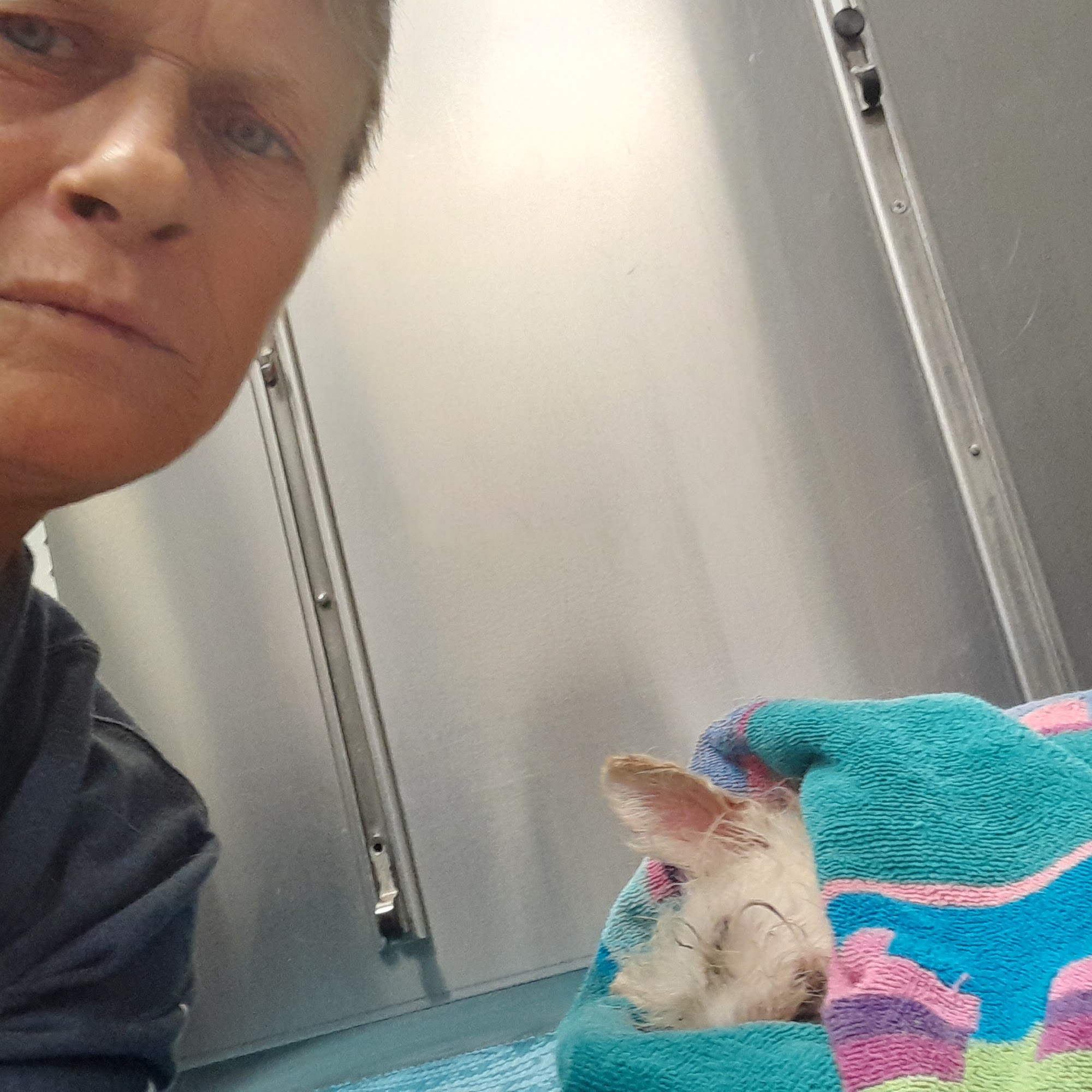 Veterinary Services of Pawtucket Pawtucket