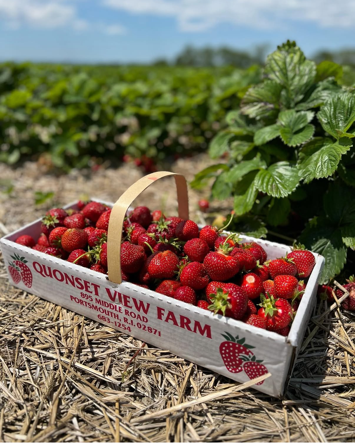 Quonset View Farm Menu
