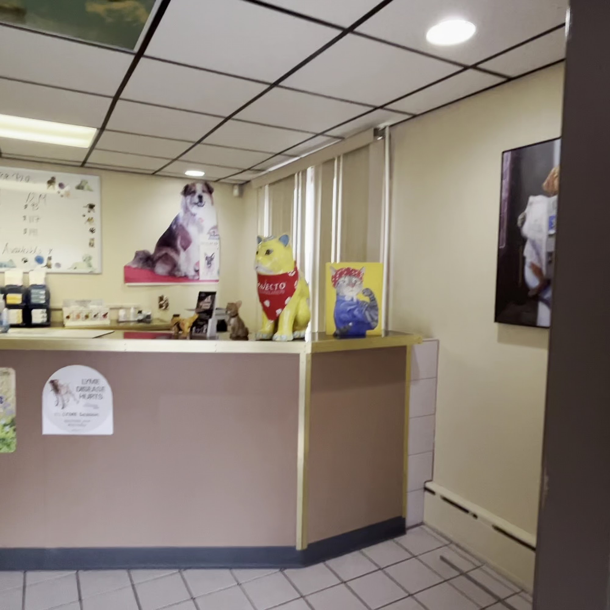 Hoffman Animal Hospital Providence