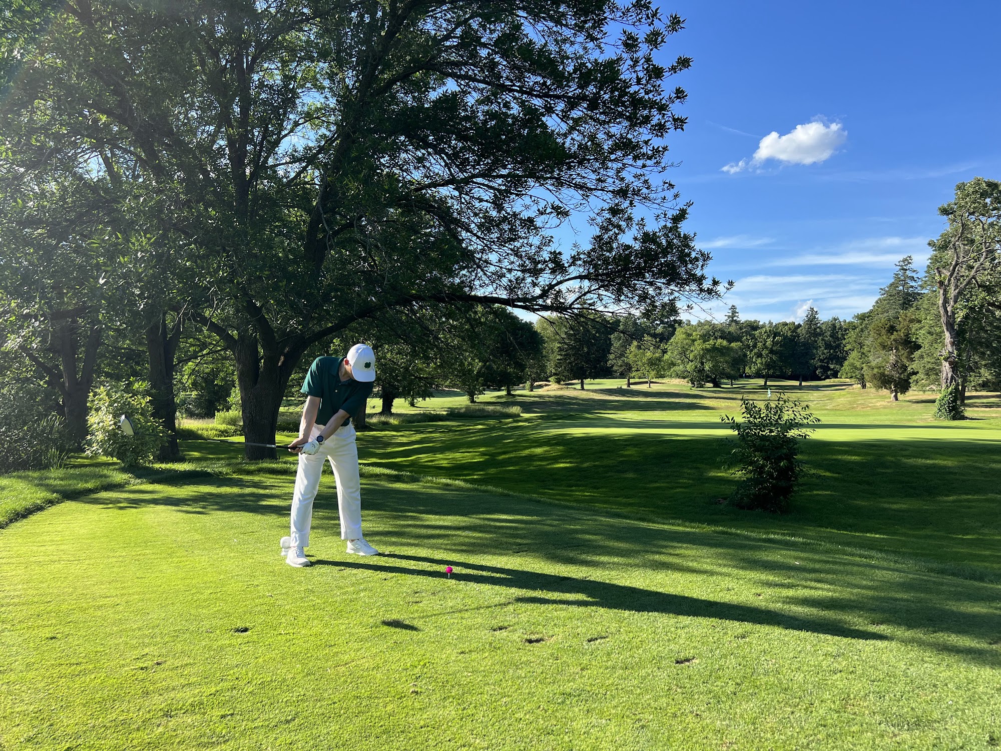 Triggs Memorial Golf Course Providence