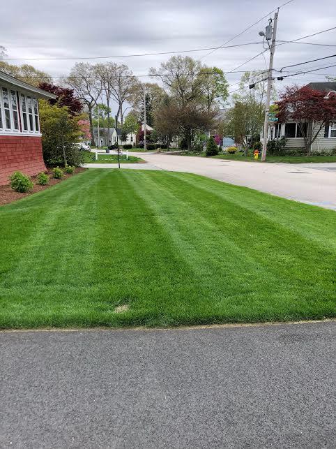 Mike's Lawn Maintenance