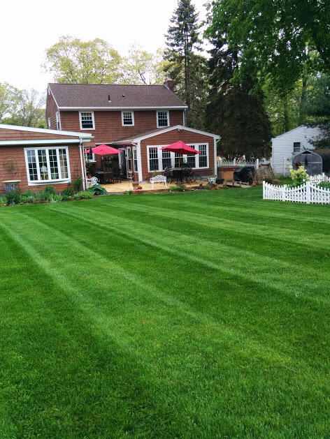 Mike's Lawn Maintenance