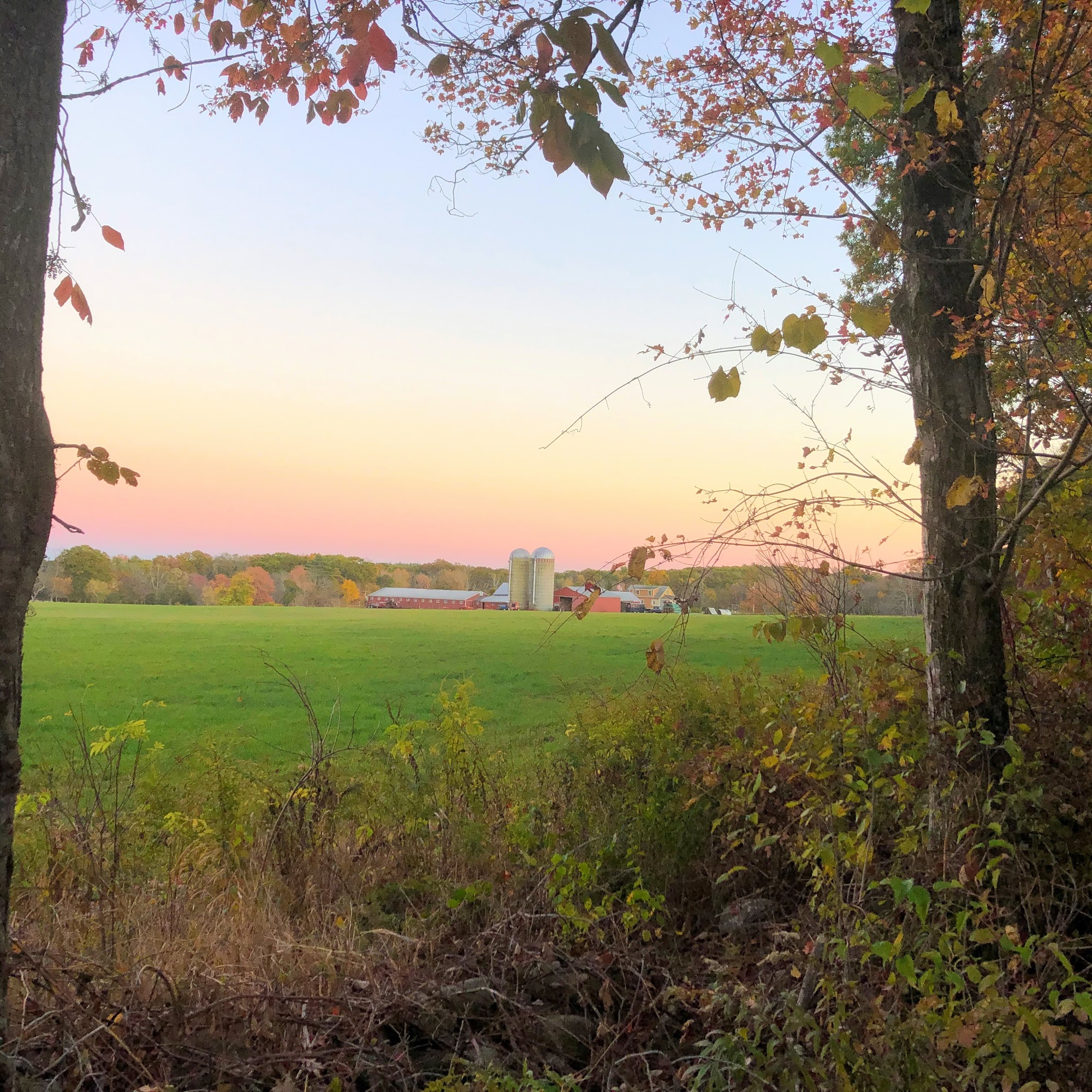 Timberdoodle Farm Scituate