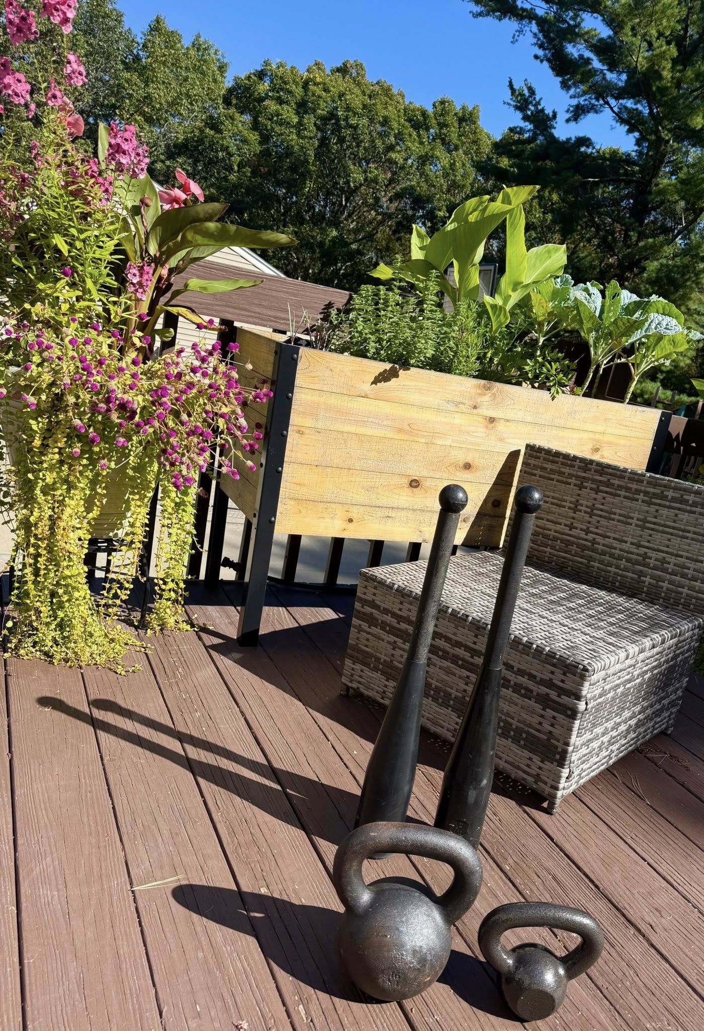 Jennifer D'Antonio, D.C.