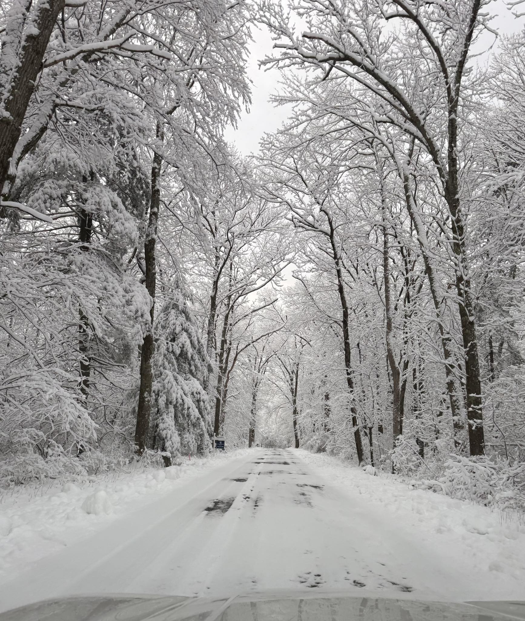 Steven D'Antonio, D.C.