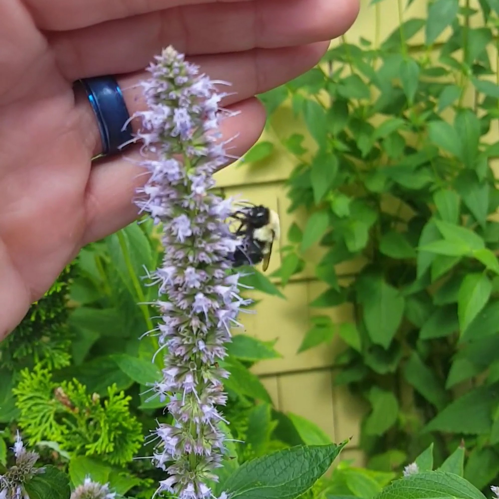 TLC Coffee Roasters South Kingstown