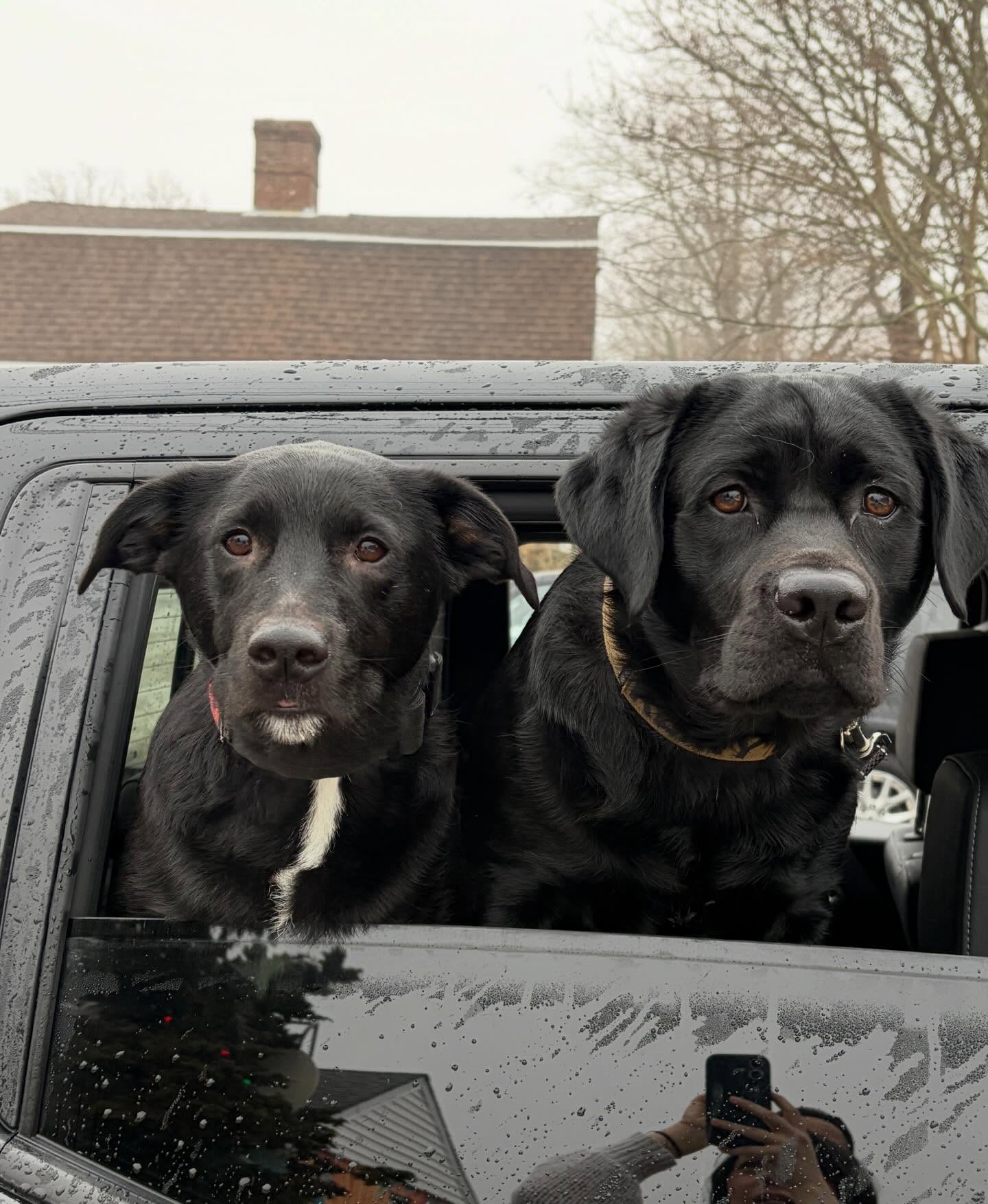 Coastal Roasters Tiverton