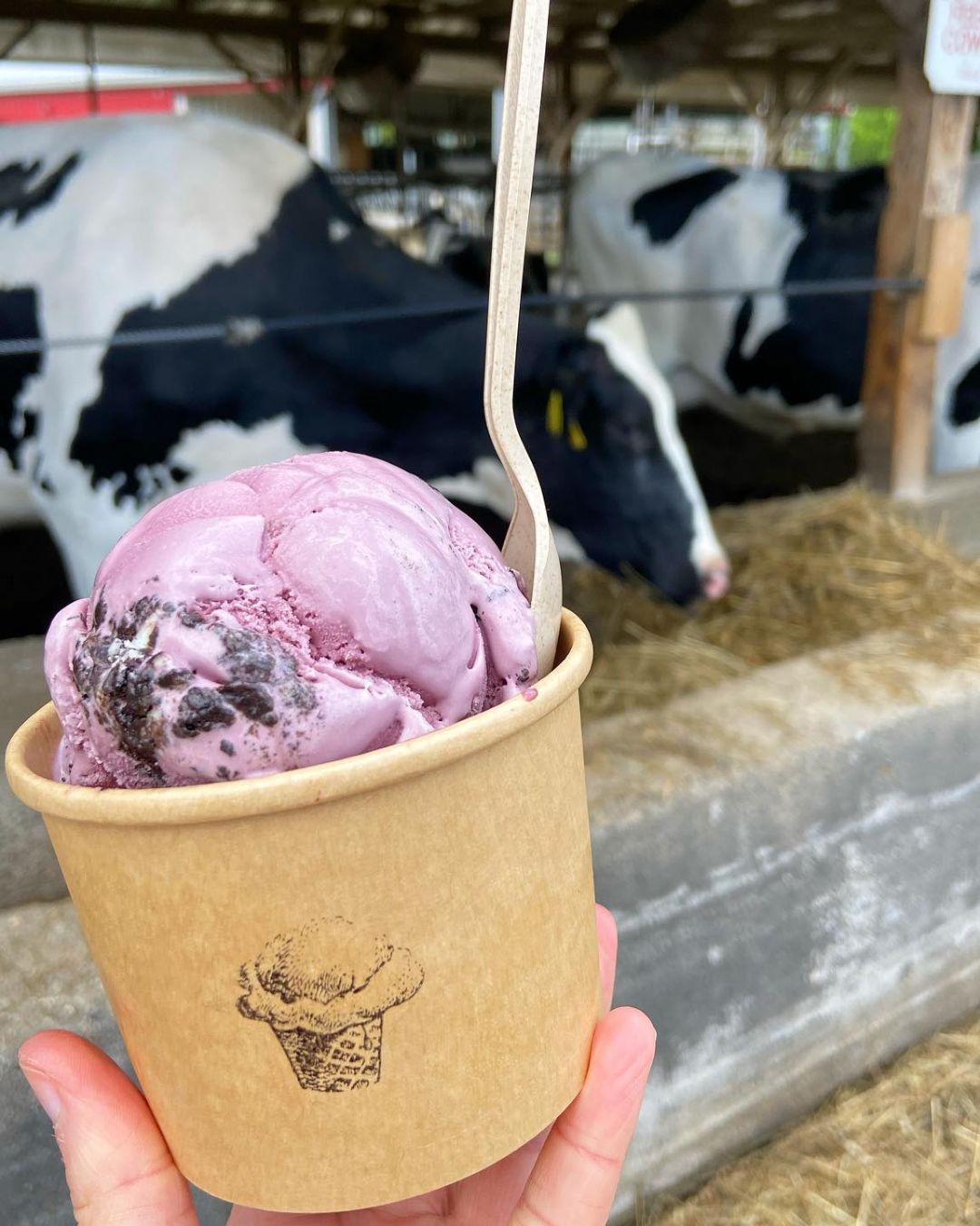 The Wright Scoop Warren