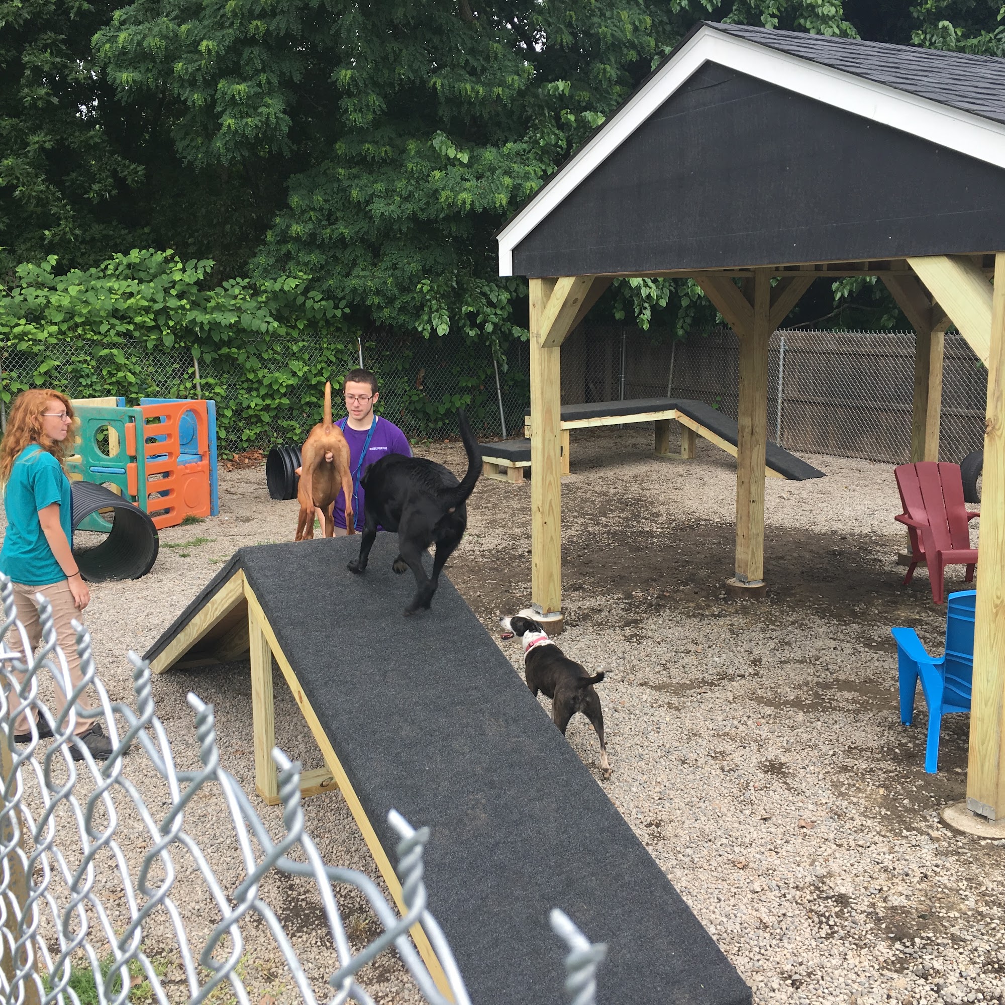 Rhode Island Animal Medical Center Warwick