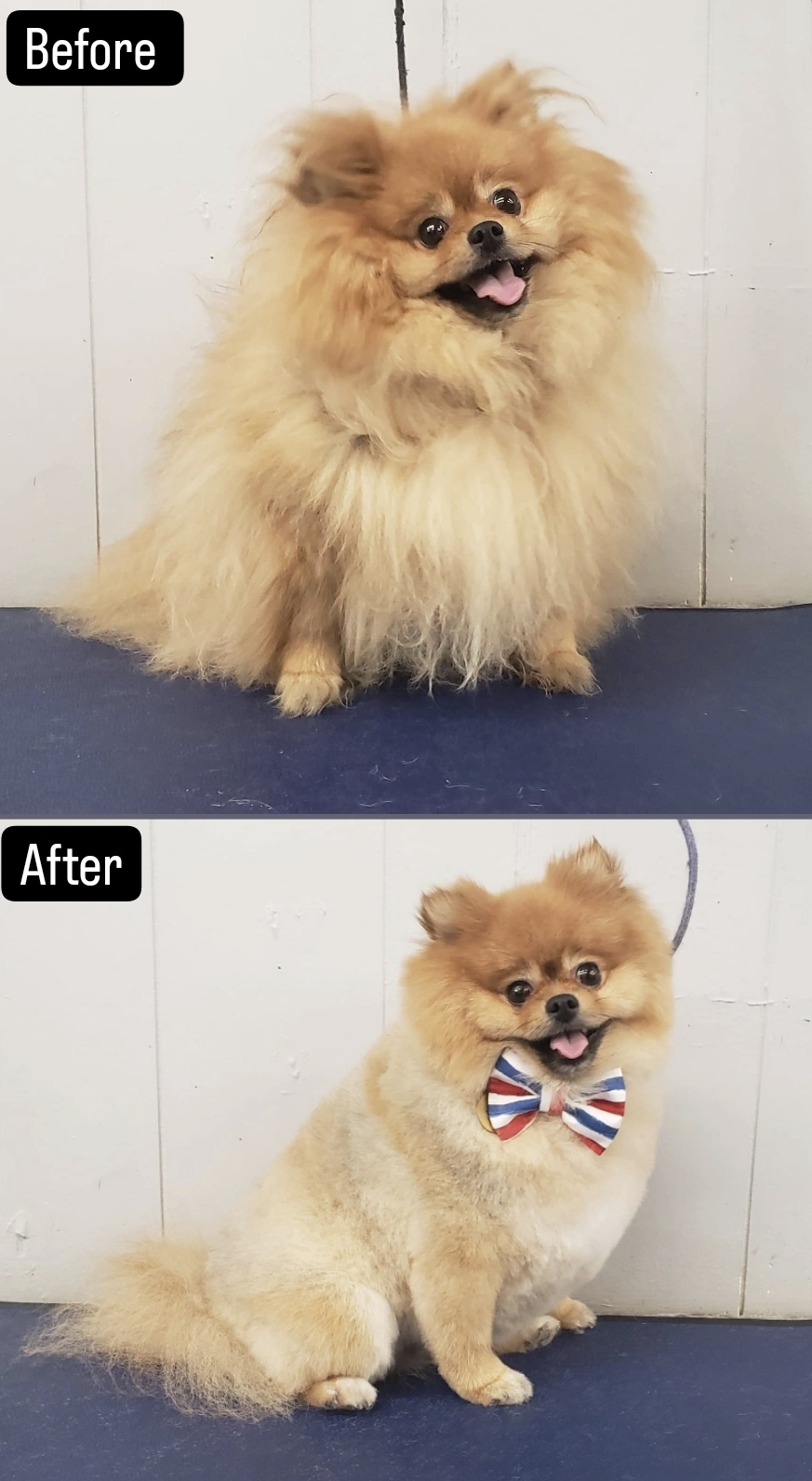 Ms. Edna's House (17+ Years Experience) Warwick