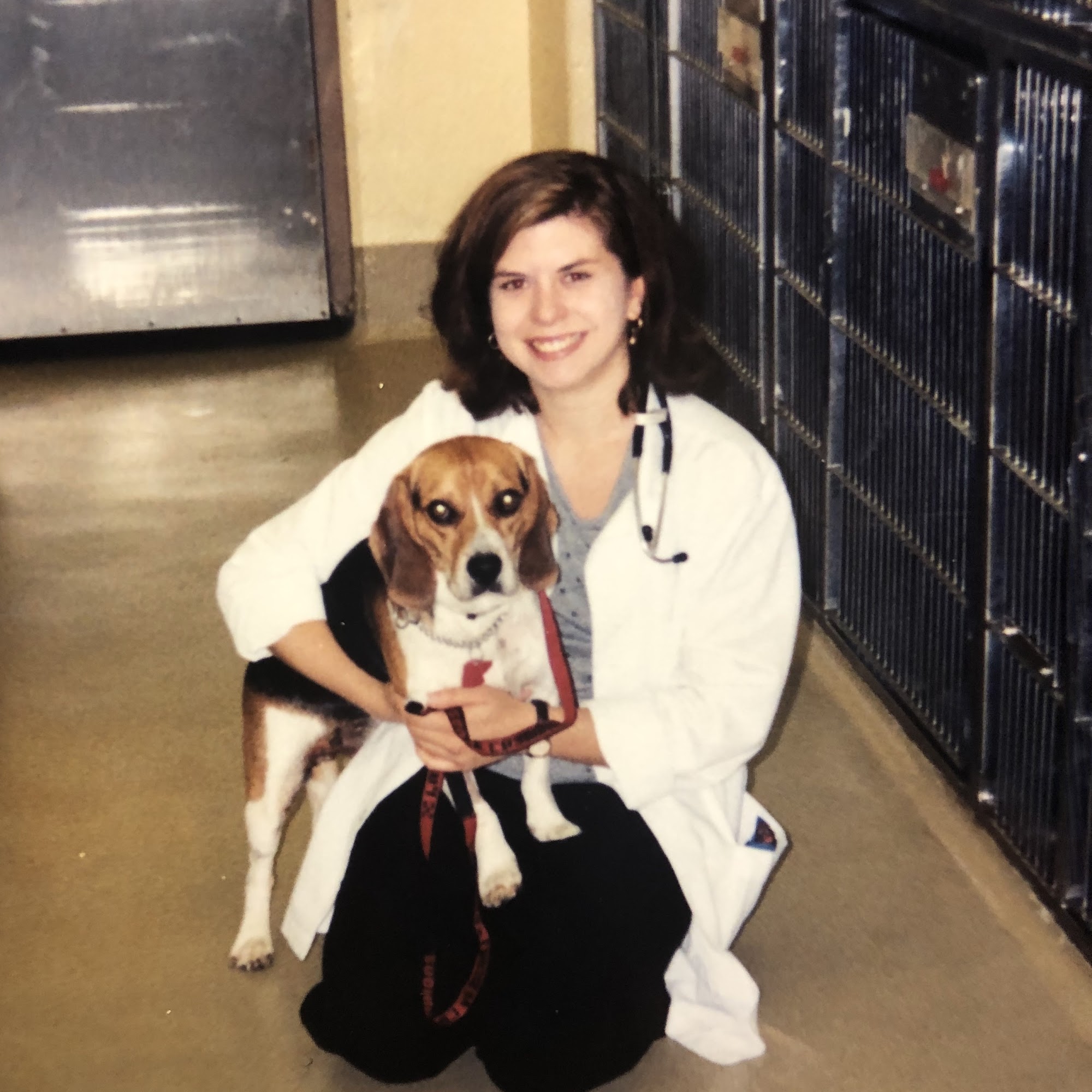 Apponaug Animal Hospital Warwick