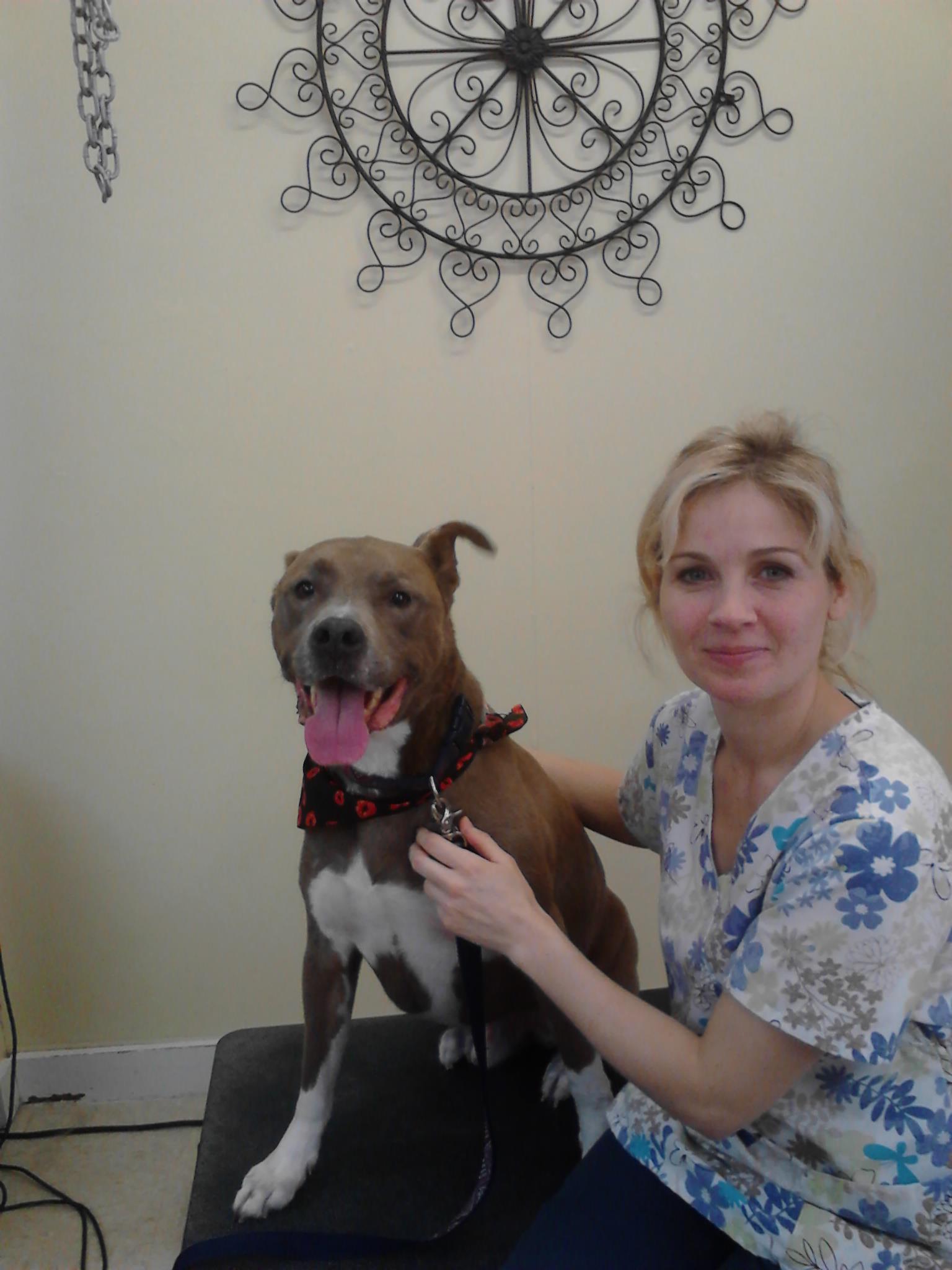 Royal Treatment Pet Salon Warwick