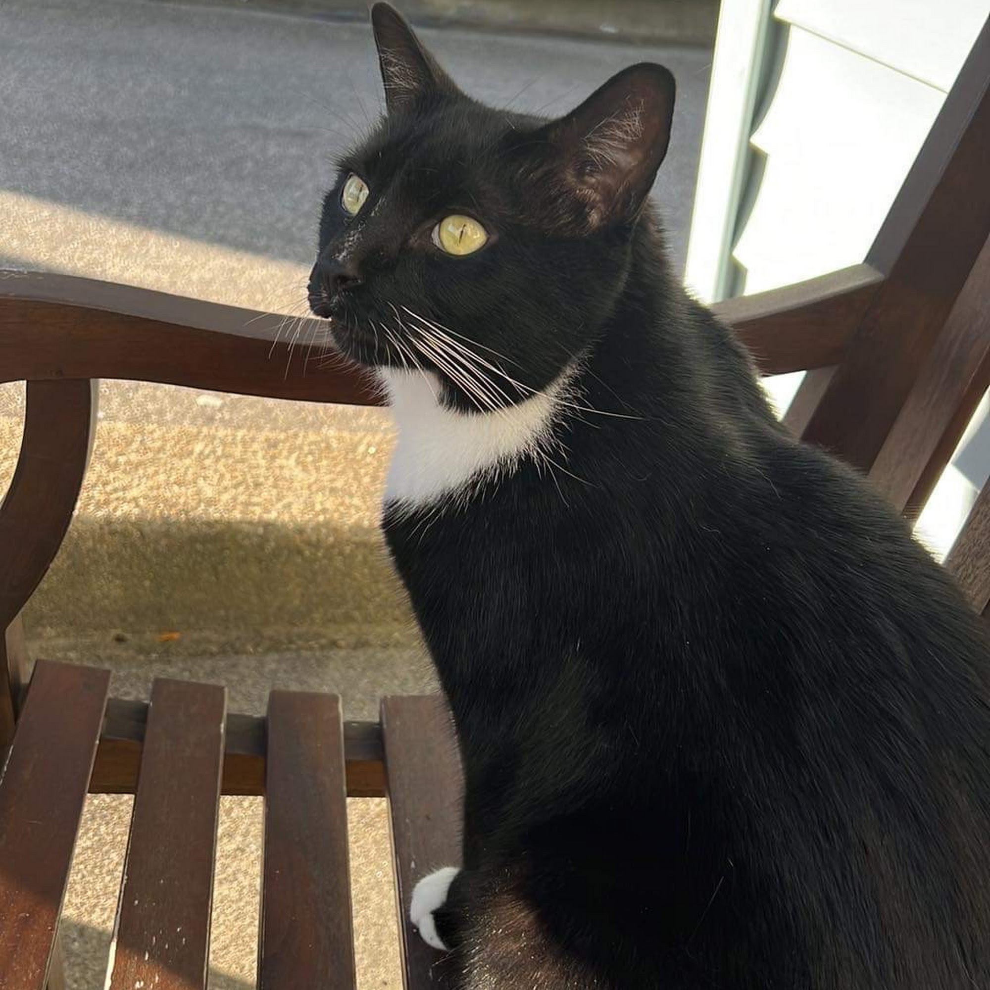 Greenwich Valley Vet Clinic West Warwick