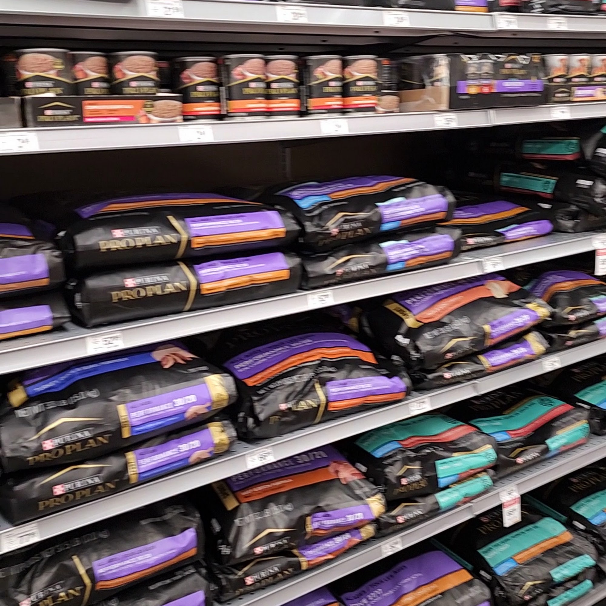 PetSmart Westerly