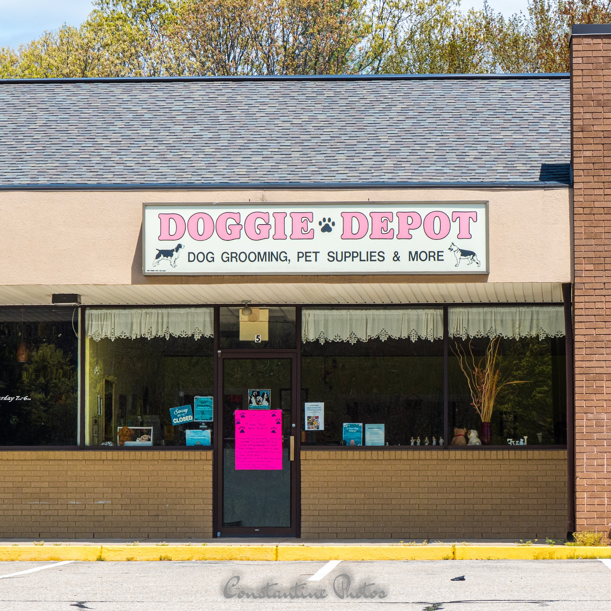 Doggie Depot Pet Grooming for Dogs Wyoming