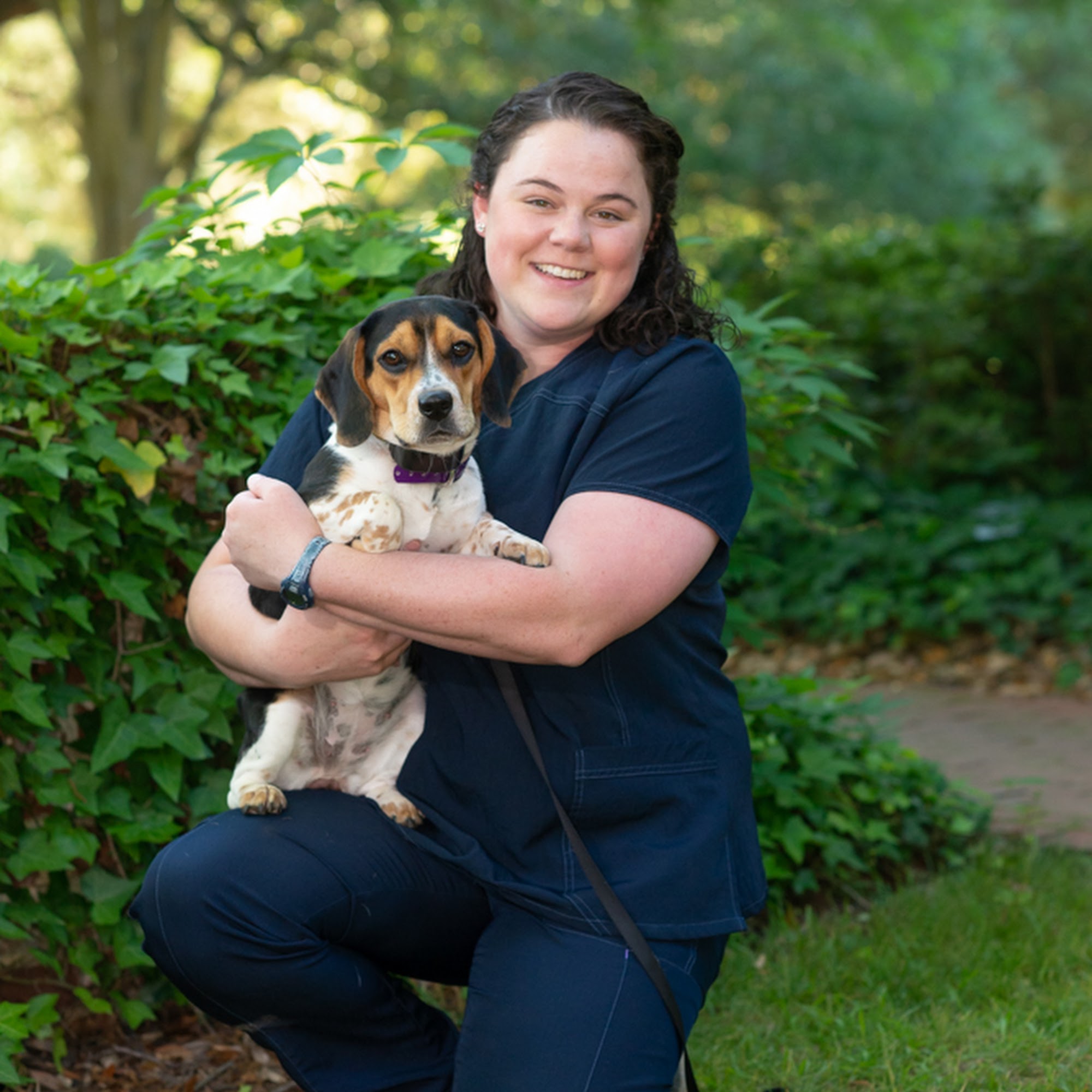 Hollow Creek Animal Hospital Aiken