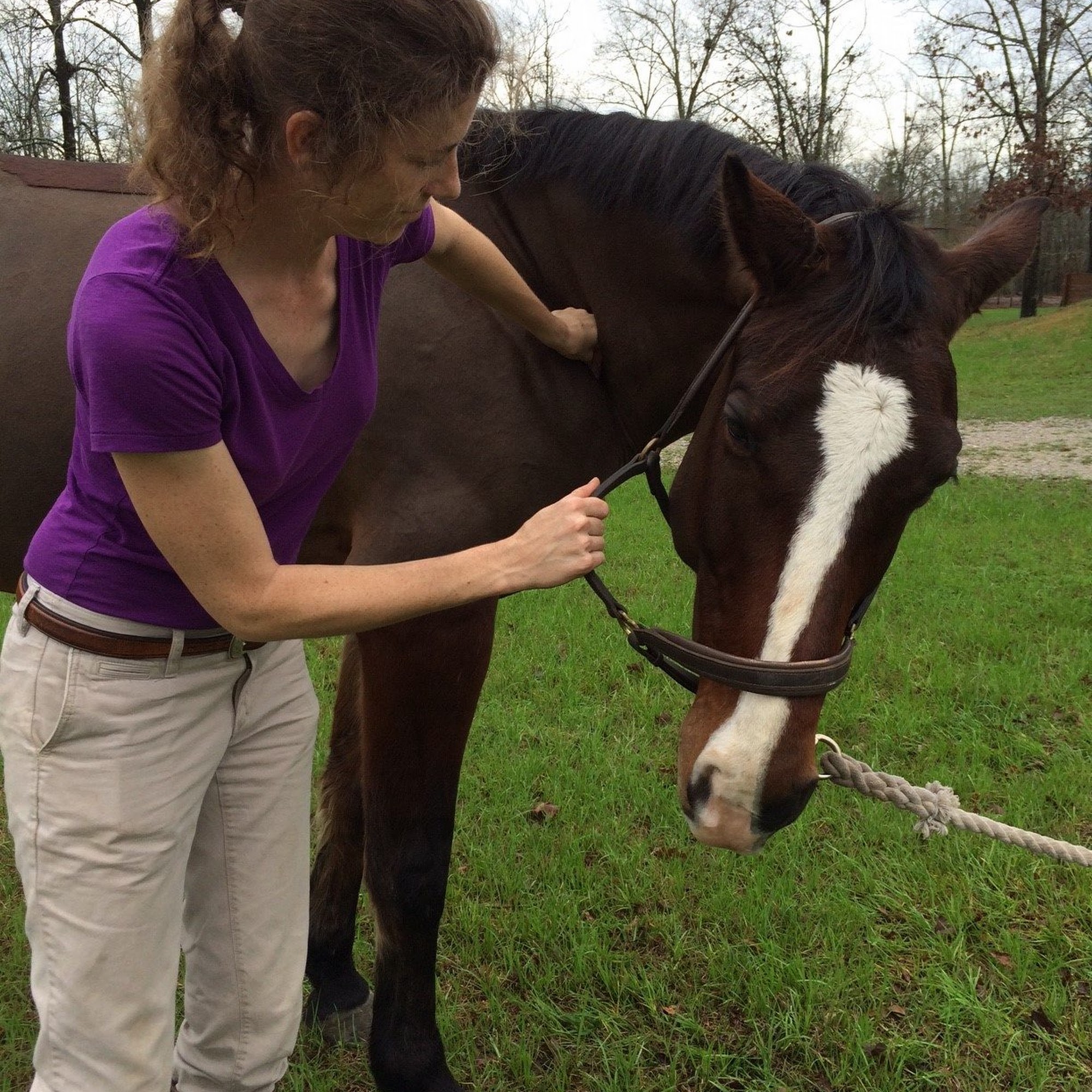 Aiken Equine Veterinary Associates Aiken